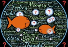 Cum pot fi schimbate convingerile limitative cu EFT